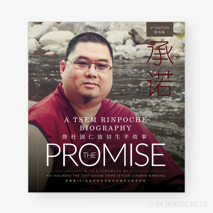 The Promise: A Tsem Rinpoche Biography (4th Edition)